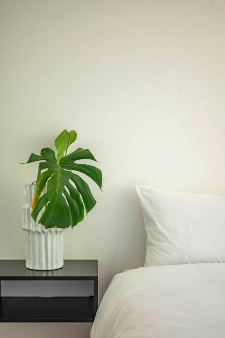 Ct - Disa Park - Mountain Views Apartment Cape Town